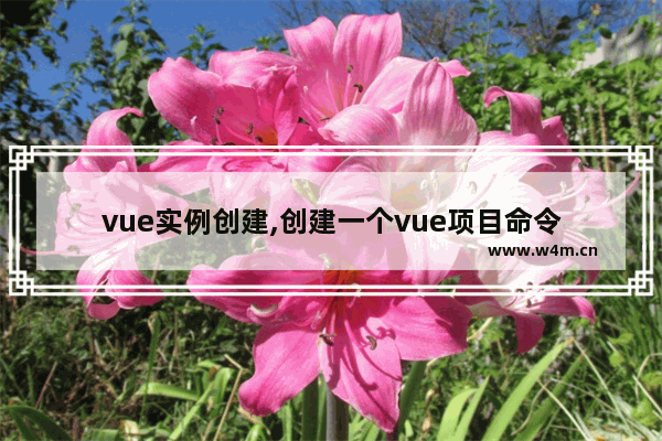 vue实例创建,创建一个vue项目命令