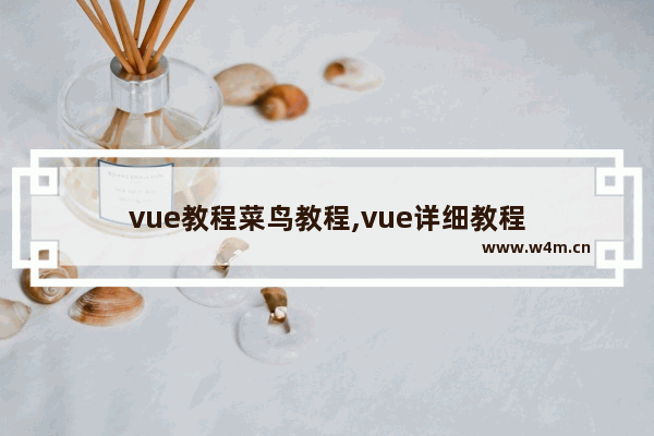 vue教程菜鸟教程,vue详细教程