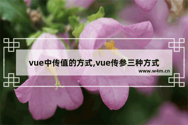 vue中传值的方式,vue传参三种方式