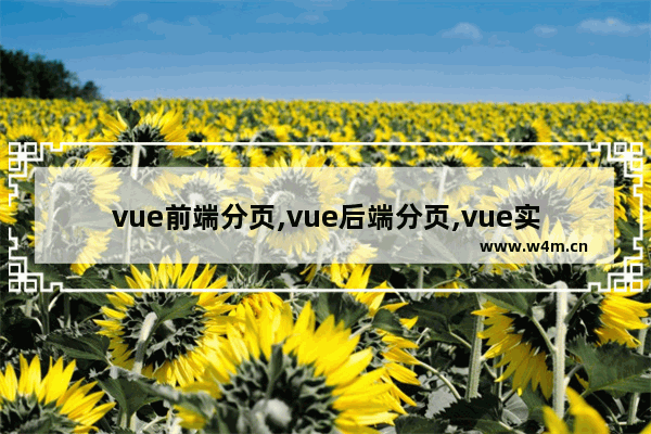 vue前端分页,vue后端分页,vue实现简单的分页功能