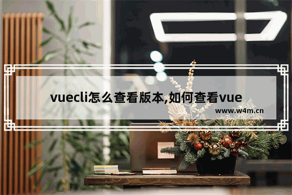 vuecli怎么查看版本,如何查看vue的版本