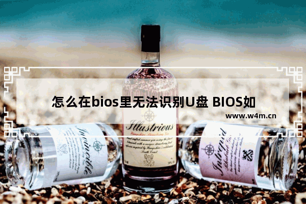 怎么在bios里无法识别U盘 BIOS如何识别不了U盘？