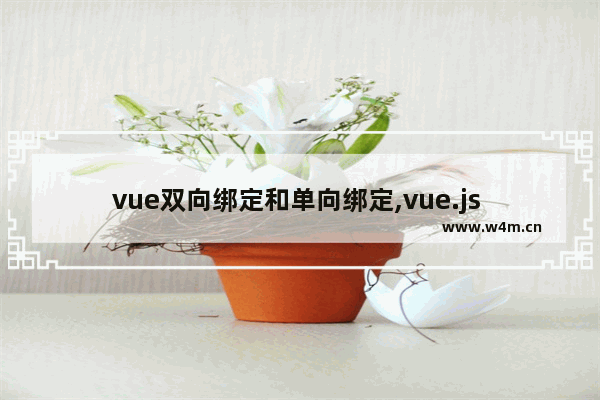 vue双向绑定和单向绑定,vue.js 双向绑定,Vue双向绑定详解