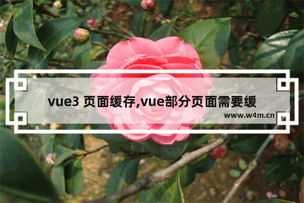 vue3 页面缓存,vue部分页面需要缓存,部分不需要缓存,vue实现页面缓存功能