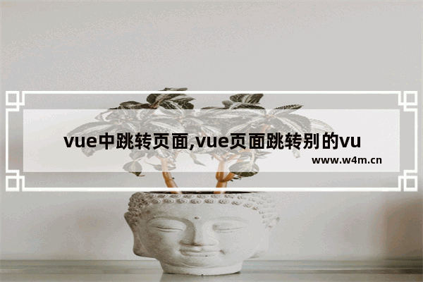 vue中跳转页面,vue页面跳转别的vue页面