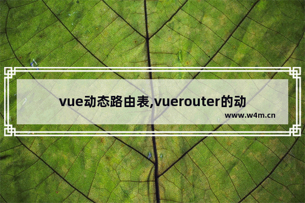 vue动态路由表,vuerouter的动态路由,vue实现动态路由详细