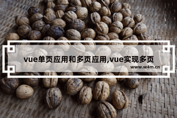 vue单页应用和多页应用,vue实现多页面