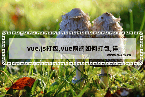 vue.js打包,vue前端如何打包,详解Vue项目的打包方式