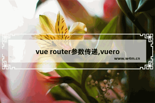 vue router参数传递,vuerouter传值,vue-router传参用法详解