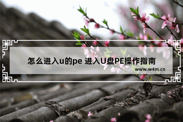 怎么进入u的pe 进入U盘PE操作指南