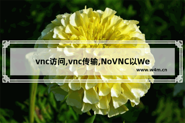 vnc访问,vnc传输,NoVNC以Web方式交付VNC远程连接的方法