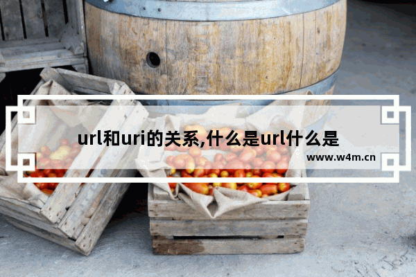 url和uri的关系,什么是url什么是uri,解析URI与URL之间的区别与联系