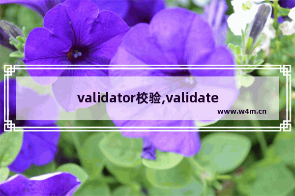 validator校验,validate表单验证,浅谈validator自定义验证及易错点