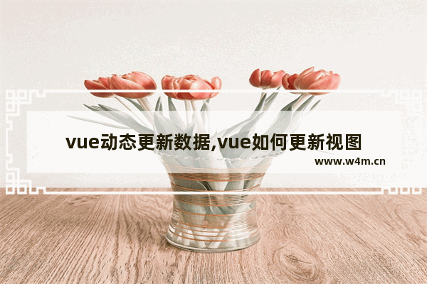 vue动态更新数据,vue如何更新视图