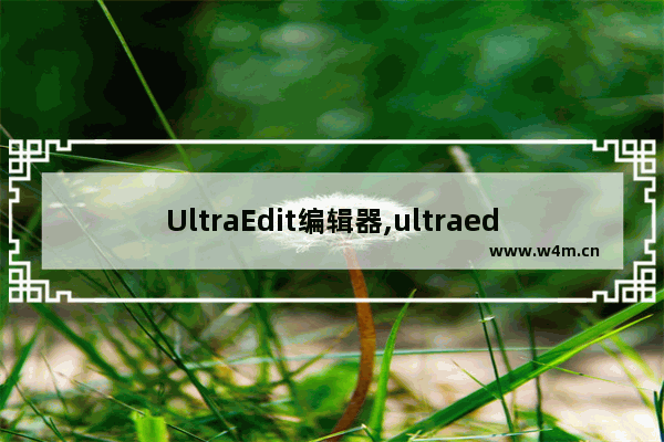 UltraEdit编辑器,ultraedit注册,UltraEdit编辑器免费激活方法