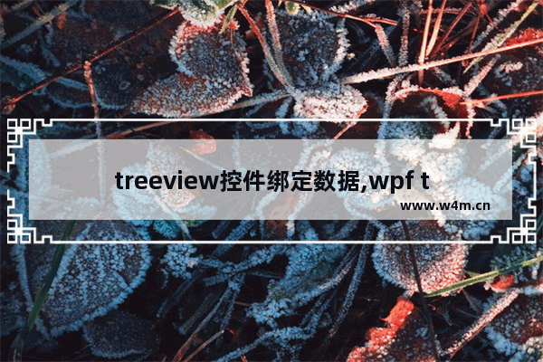 treeview控件绑定数据,wpf treeview数据绑定,详解TreeView绑定数据库