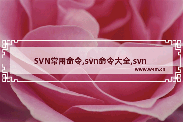 SVN常用命令,svn命令大全,svn 常用命令集合