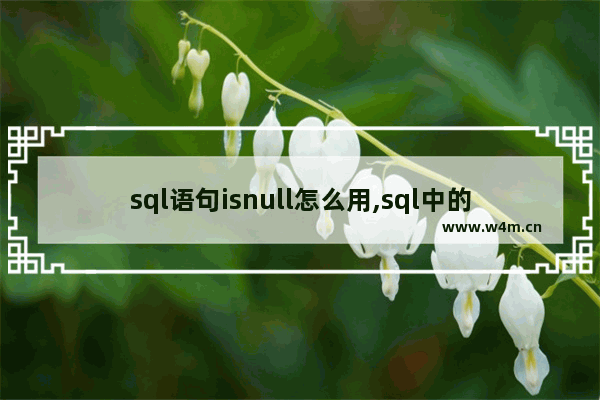 sql语句isnull怎么用,sql中的isnull,SQL中ISNULL函数使用介绍