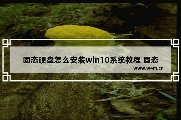 固态硬盘怎么安装win10系统教程 固态硬盘装win10教程