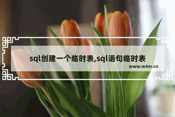 sql创建一个临时表,sql语句临时表