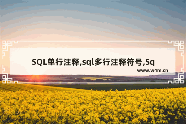 SQL单行注释,sql多行注释符号,SqlServer 注释符 单行注释与多行注释