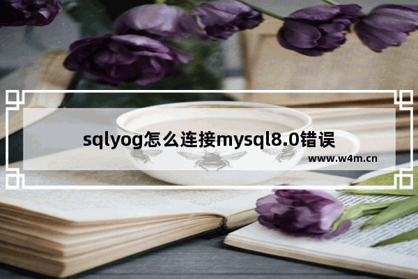 sqlyog怎么连接mysql8.0错误1045,sqlyog连接不上mysql2058