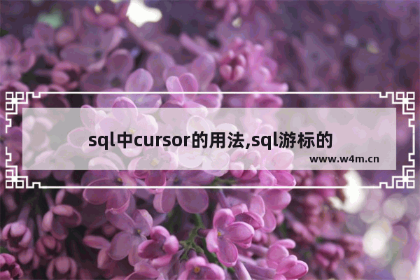 sql中cursor的用法,sql游标的使用方法