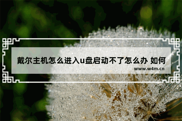 戴尔主机怎么进入u盘启动不了怎么办 如何解决戴尔主机无法进入U盘启动问题？