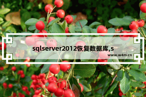 sqlserver2012恢复数据库,sql server数据不小心删除了能否完全恢复