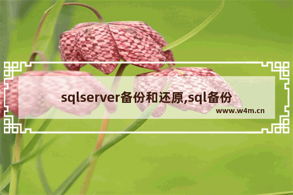 sqlserver备份和还原,sql备份还原操作