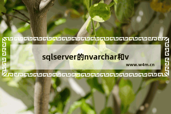 sqlserver的nvarchar和varchar,数据库varchar和nvarchar