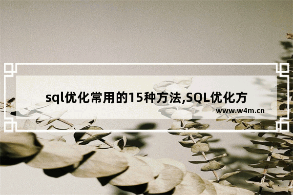 sql优化常用的15种方法,SQL优化方法