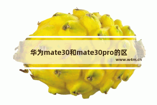 华为mate30和mate30pro的区别,华为mate30pro和华为mate30有啥区别