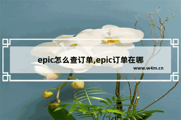 epic怎么查订单,epic订单在哪