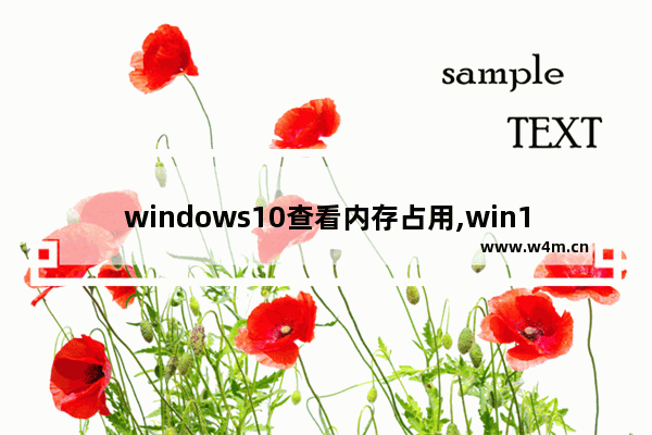 windows10查看内存占用,win11和win10内存占用