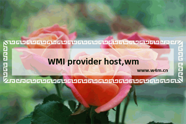 WMI provider host,wmi provider host占用cpu