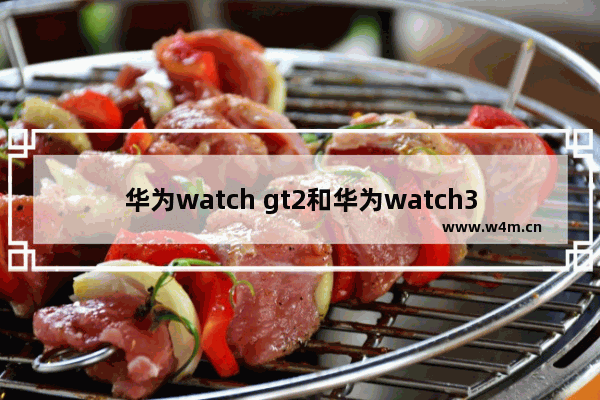 华为watch gt2和华为watch3,华为watch gt 与gt2区别