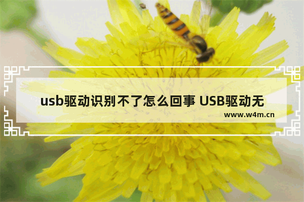 usb驱动识别不了怎么回事 USB驱动无法识别的解决方法