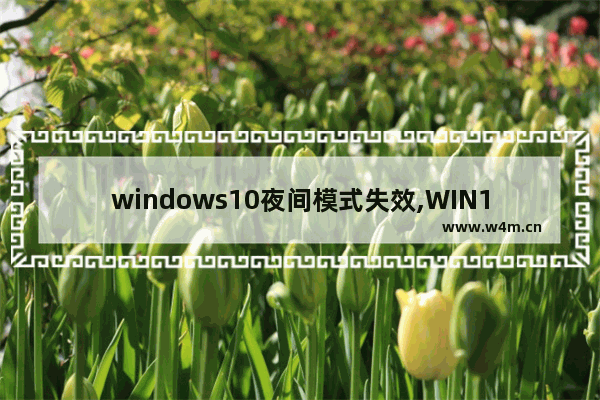 windows10夜间模式失效,WIN10夜间模式开关无效