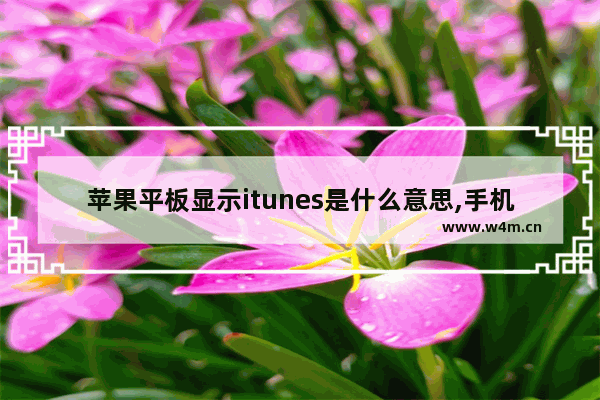 苹果平板显示itunes是什么意思,手机显示iTunes