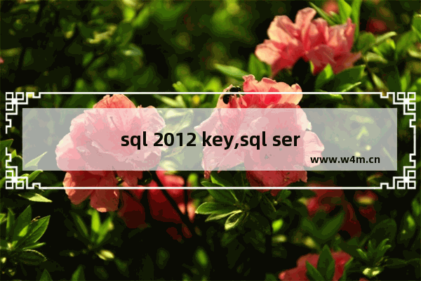 sql 2012 key,sql server2014密钥,SQL Server 2008 密钥 key 使用方法