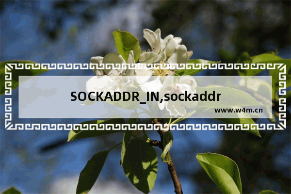 SOCKADDR_IN,sockaddr 类型重定义