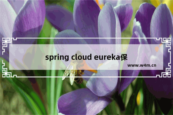 spring cloud eureka保护机制,eureka自我保护机制是什么