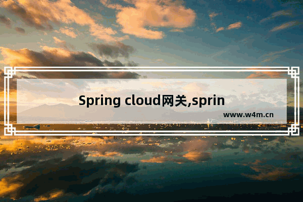 Spring cloud网关,spring cloud zuul作用,详解Spring Cloud Zuul 服务网关