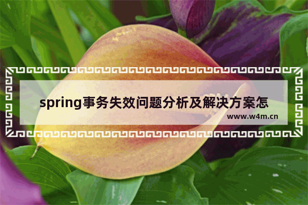 spring事务失效问题分析及解决方案怎么做,spring 事务失效情况