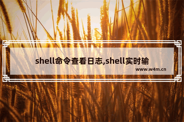 shell命令查看日志,shell实时输出日志