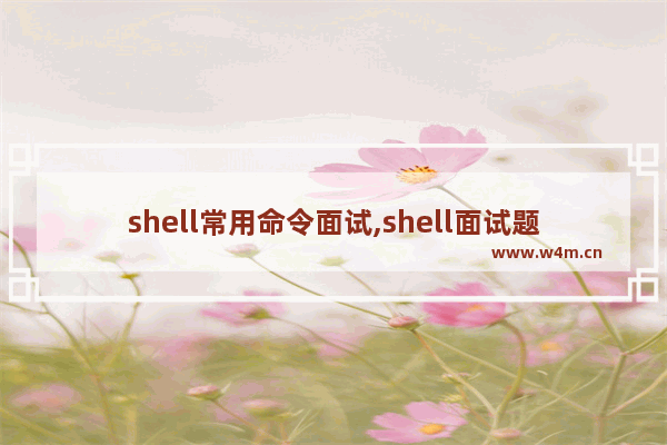 shell常用命令面试,shell面试题详解