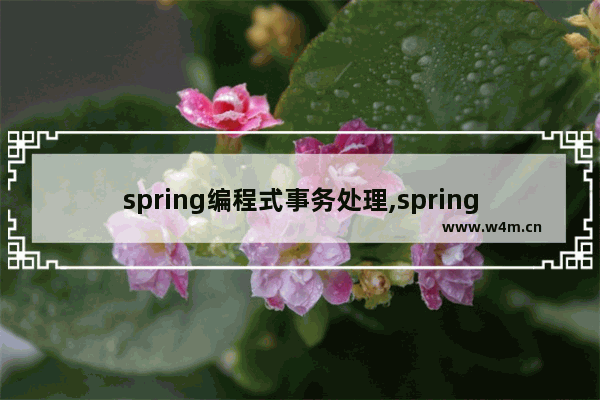 spring编程式事务处理,spring编程事务,详解Spring学习之编程式事务管理