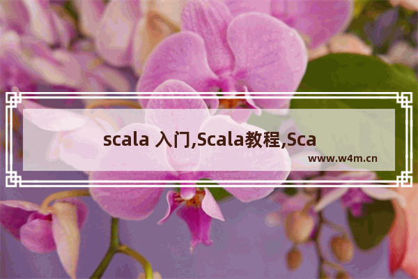 scala 入门,Scala教程,Scala入门教程详解