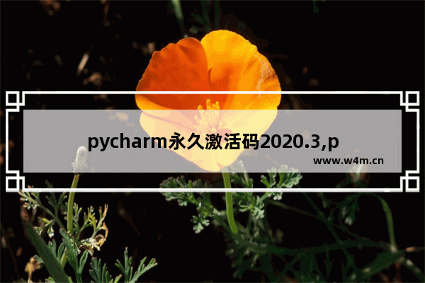 pycharm永久激活码2020.3,pycharm永久激活码2020.2